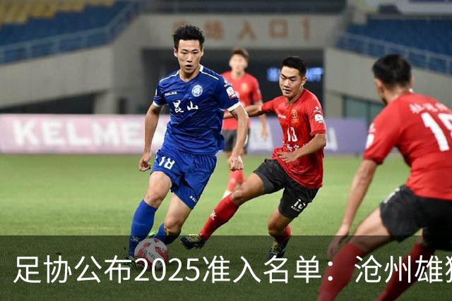 足协公布2025准入名单：沧州雄狮、广州队无缘